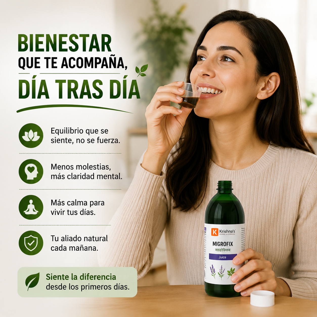 Encabezado