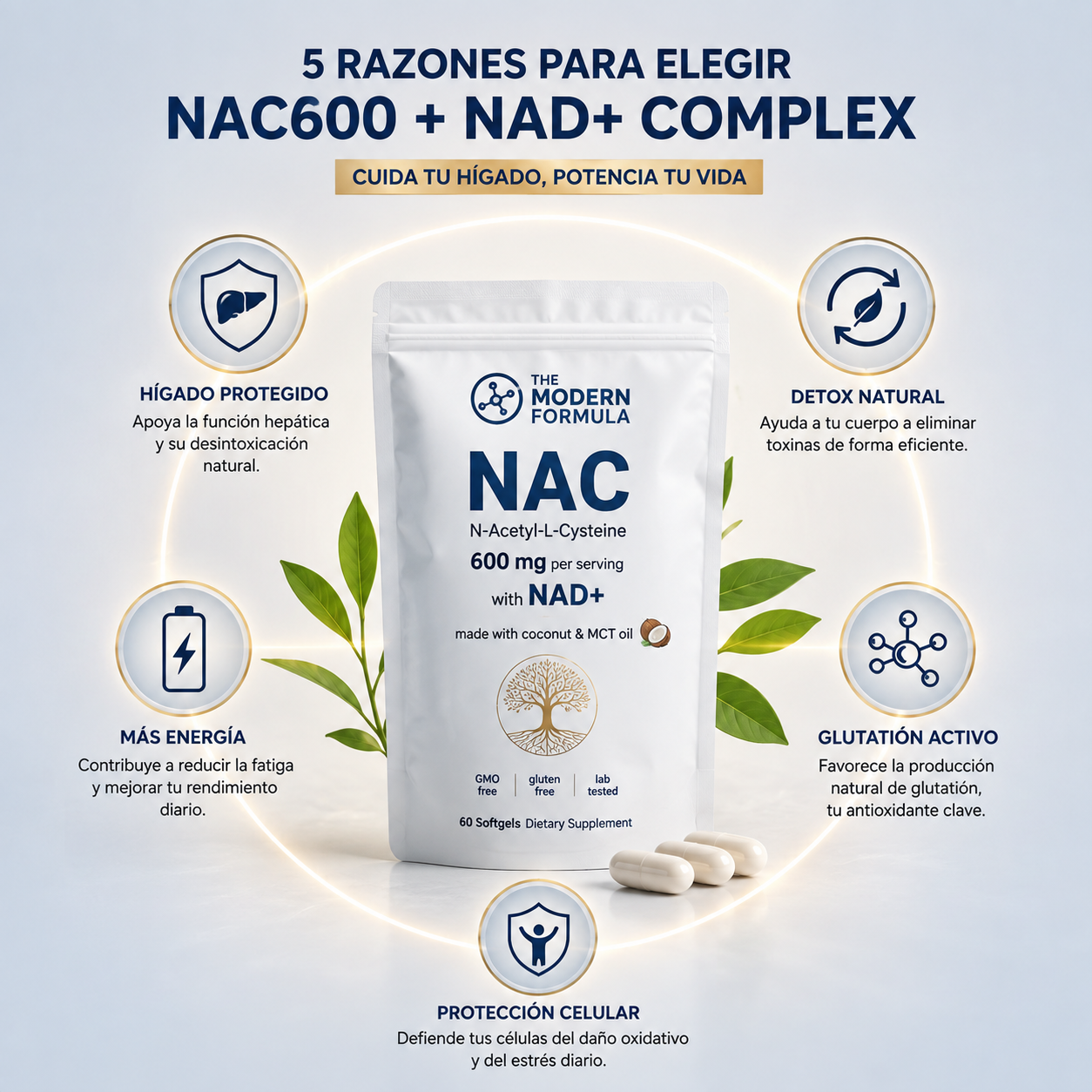 Encabezado