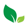 Ícono