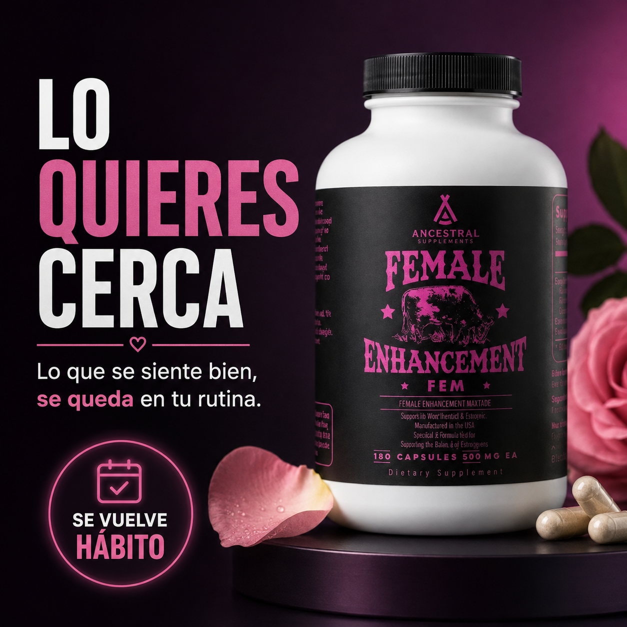 Encabezado